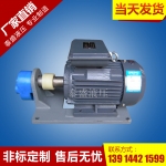 福清WBZ-40卧式齿轮泵电机组