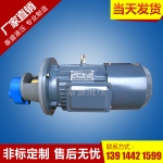 黑龙江BB1-B125YJZ摆线转子油泵电机组