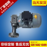高安CB-1.5齿轮油泵电机组装置