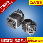 桂林CBN-E(F)320系列中高压齿轮泵