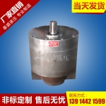 襄阳DCB-B1000低噪音大流量耐磨齿轮油泵