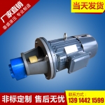 黑龙江LBZ-10╱25立卧式齿轮油泵电机组