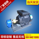 南京YB1型双联叶片泵