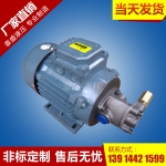 芜湖TOP润滑摆线齿轮泵电机装置