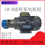 廉江CB-B齿轮油泵电机装置JZ