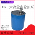 康定CB-BM大流量齿轮油泵
