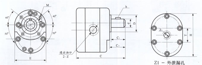 HY01-5×10齿轮油泵