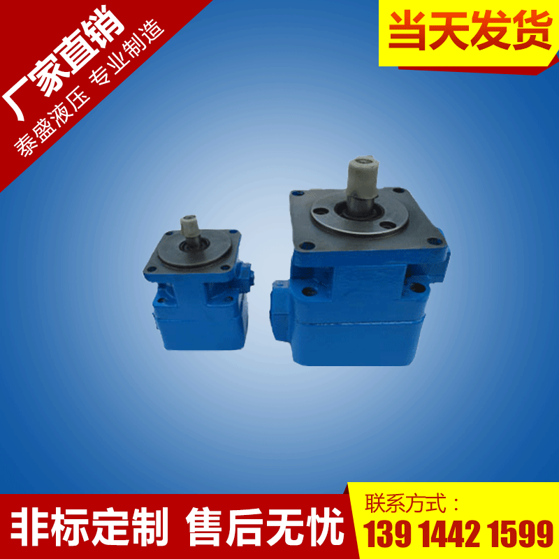 YB1-63～100/32～50型叶片泵