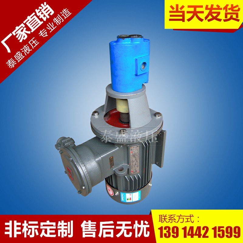 LBZ-125立式齿轮泵电机组装置