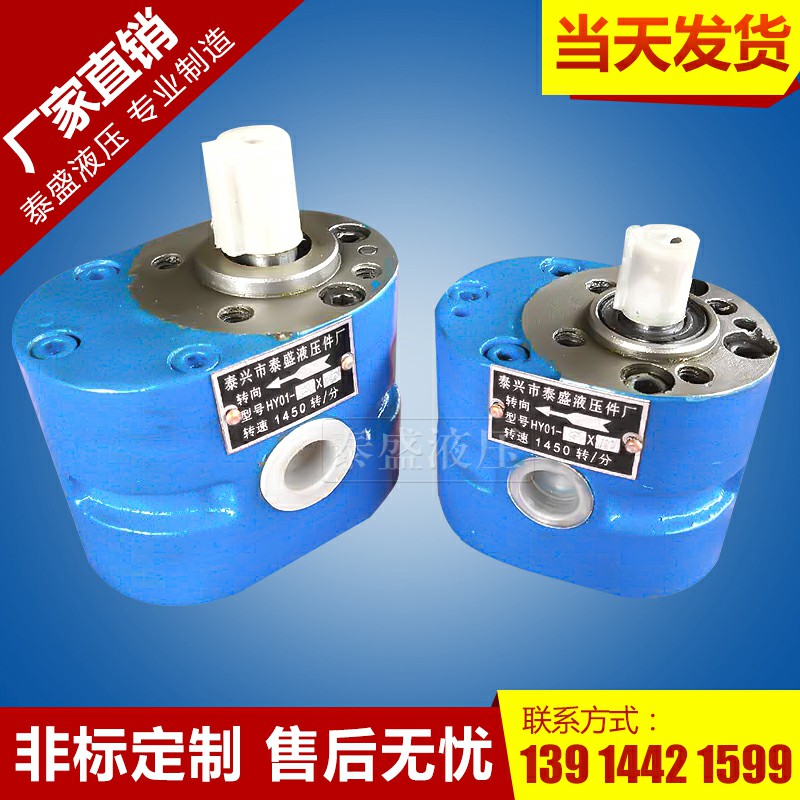 HY01-12x20齿轮油泵